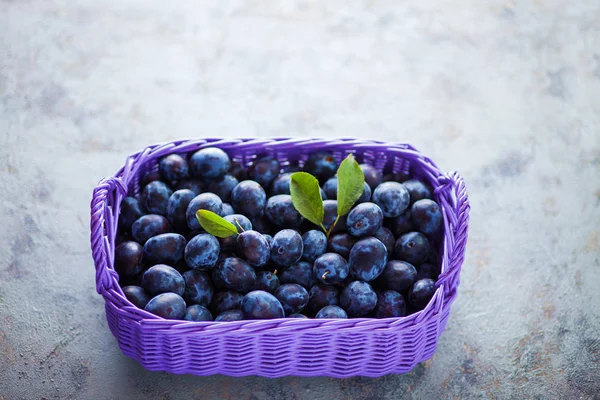 Cestino Viola Con Deliziose Prugne Sfondo Grigio Pietra Vista Dall — Foto Stock