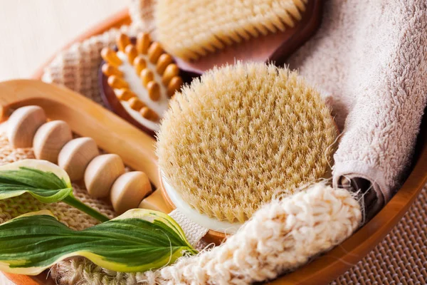 Closeup of brushes for dry body massage and green leaves