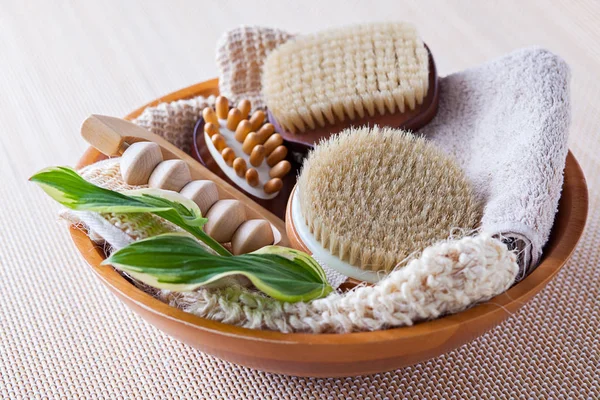 Closeup of brushes for dry body massage and green leaves