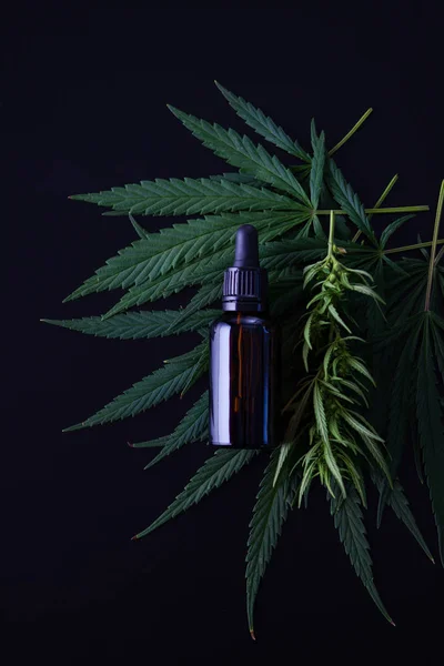 Cannabis oil extracts — Stock Photo, Image