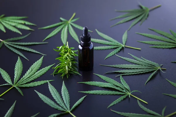 Extracten van cannabisolie — Stockfoto