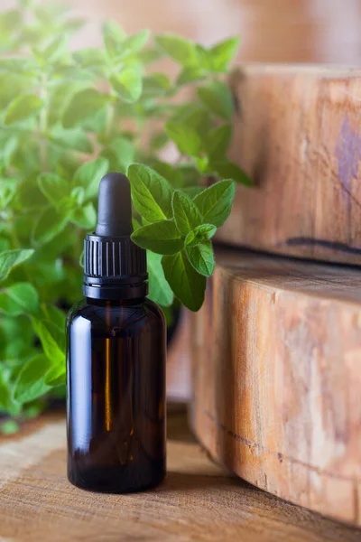 Oregano Essential Oil Fresh Leaves Beauty Treatment — Stock Photo, Image