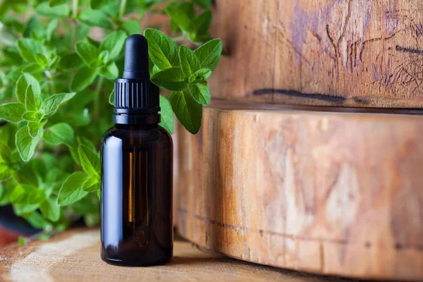 oregano essential oil and fresh leaves - beauty treatment