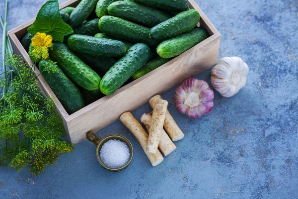 Pepinos Con Eneldo Rábano Picante Ajo Frutas Verduras — Foto de Stock