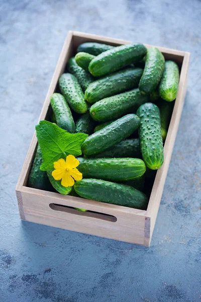 Cucumbers Horseradish Dill Garlic Fruits Vegetables — Stock Photo, Image