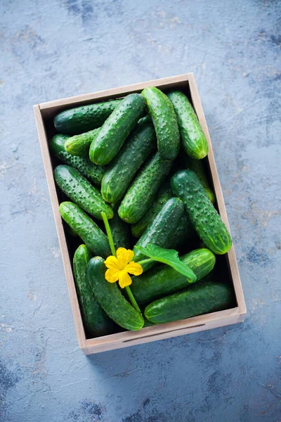 Cucumbers Horseradish Dill Garlic Fruits Vegetables — Stock Photo, Image