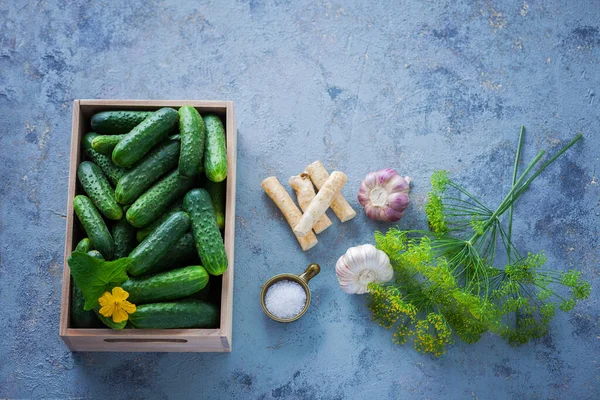 Pepinos Con Eneldo Rábano Picante Ajo Frutas Verduras — Foto de Stock