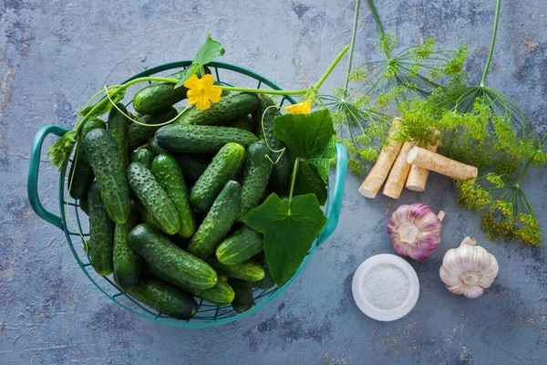 Cucumbers Horseradish Dill Garlic Fruits Vegetables — Stock Photo, Image