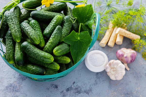 Pepinos Con Eneldo Rábano Picante Ajo Frutas Verduras — Foto de Stock