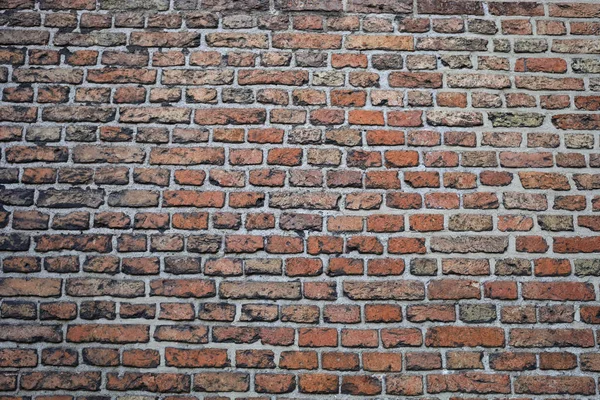 Old Brick Wall Texture — Stock Photo, Image