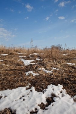 erken ilkbaharda peyzaj