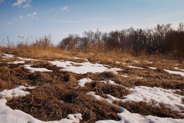 erken ilkbaharda peyzaj