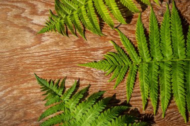 Ahşap yüzeyde eğreltiotu yaprakları olan arkaplan