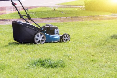 Çim biçme makinesi arka bahçede yeşil çim biçiyor.
