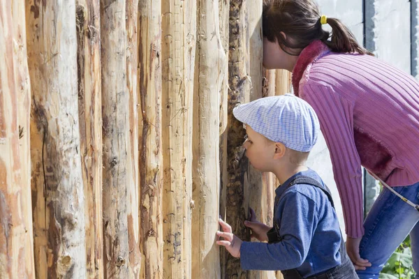 Çocuk çit delikten arıyoruz. Merak tezahürü