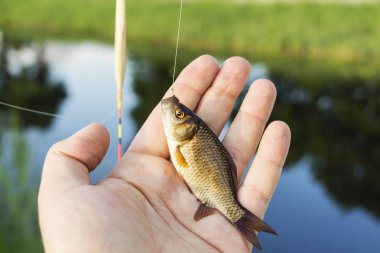 bir balıkçı nehrin arka plan üzerinde elinde küçük balık