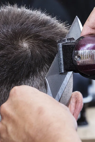 Ανδρικά μαλλιά στυλ και περιποίηση με τη βοήθεια του ψαλίδι και κουρευτικές μηχανές μηχάνημα και μαλλιών στο κομμωτήριο. — Φωτογραφία Αρχείου