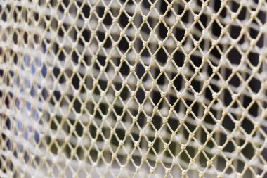 Balık tutma net yakın çekim. Arka plan. Balık tutmak için ekipmanlar Balık tutma