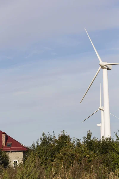 Windmill for electricity among the trees with the house