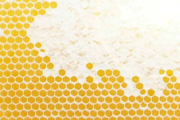 Petek desen. Altıgen doku. Desen arka plan soyut. Altın arka plan petek