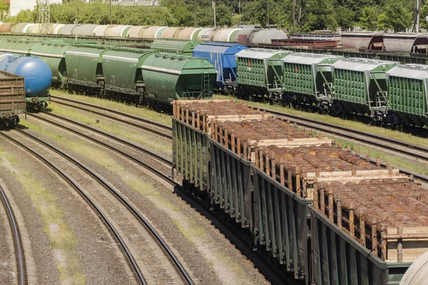 Demiryolu araçları, orman ile yüklü ağaçlar tren taşımaktadır. Birçok farklı otomobil.