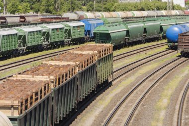 Demiryolu araçları, orman ile yüklü ağaçlar tren taşımaktadır. Birçok farklı otomobil.