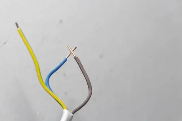 Dos cables eléctricos desnudos, sobre un fondo gris . — Foto de Stock