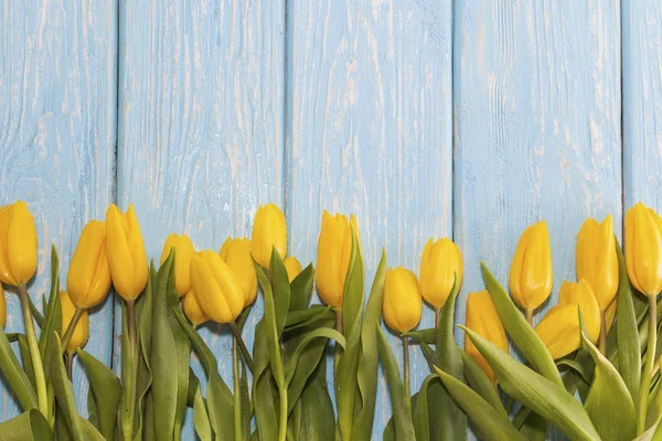 Den matek koncept. květiny tulipány na pastelově modré dřevěné pozadí. — Stock fotografie