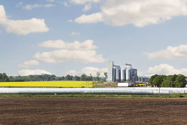 Rapsblütenfeld, Anlage zur Reinigung und Lagerung landwirtschaftlicher Produkte, Mehl, Getreide und Getreide. — Stockfoto