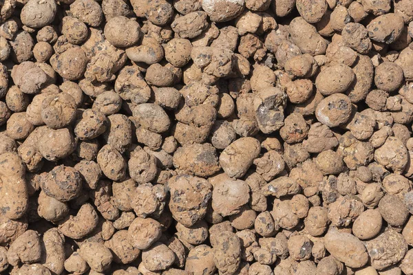 Close up of red haydite as background. — Stock Image Close up of red haydite as background. Stock Photo