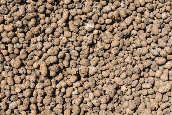Close up of red haydite as background. — Stock Image Close up of red haydite as background. Stock Picture