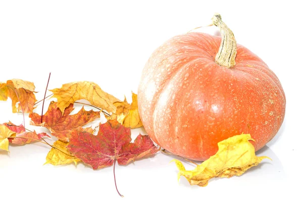 Calabaza y hojas amarillas. Bodegón de otoño. Calendario de otoño — Foto de Stock