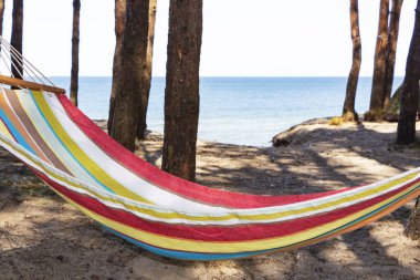 Çamlar arasında gölgede gün batımında sahilde Hamak.