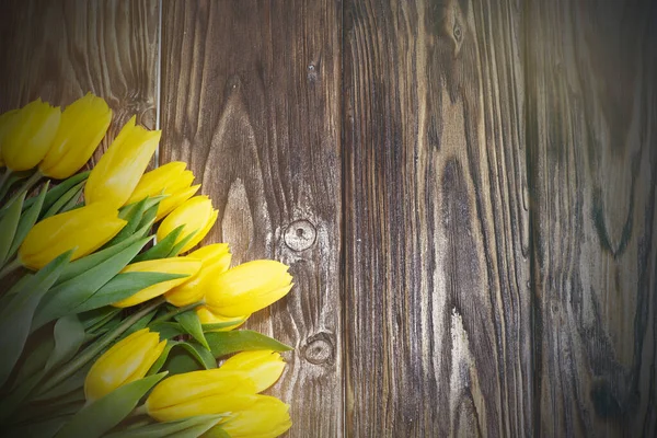 Den matek. tulipány květiny na tmavém dřevěném pozadí — Stock fotografie