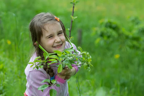 Niña Con Gafas Posando Hierba Primavera — Foto de Stock