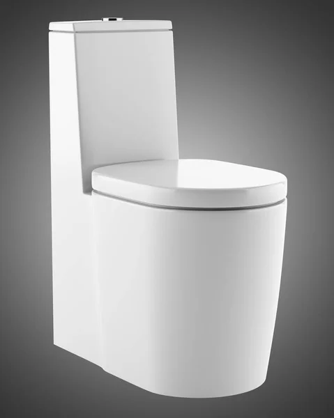 Bol Toilette Debout Moderne Isolé Sur Fond Gris Illustration — Photo