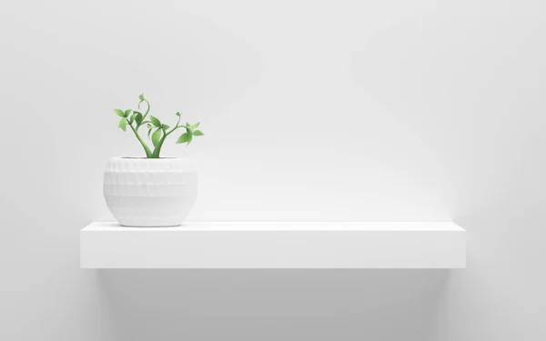 Étagère Blanche Avec Plante Verte Pot Sur Mur Avec Lumière — Photo