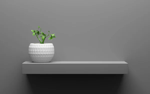 Étagère Grise Avec Plante Verte Pot Sur Mur Avec Lumière — Photo