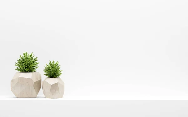 Green plants in wooden pots on white shelf. 3d illustration — Stock Photo, Image