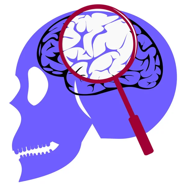 insan beyin araştırma kavramsal görüntü