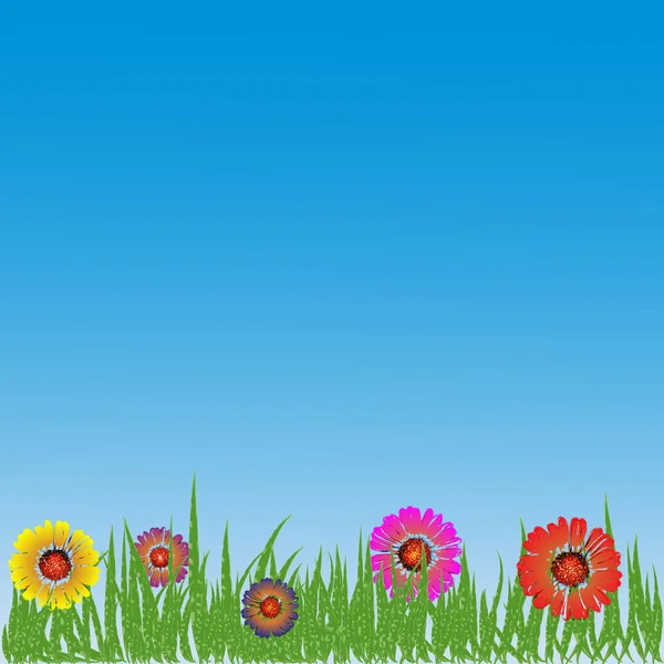 çim ve çiçek ile doğal arka plan