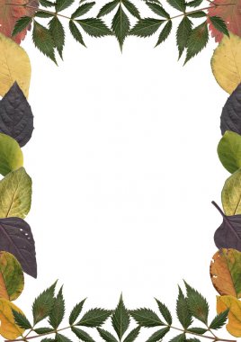 renk yaprakları çerçeve