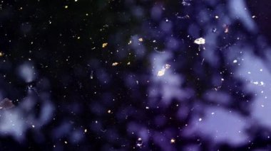 Küçük parçacıklar karanlık suda yüzer ve uzaydaki parçacıkların hareketinin bir taklidini oluşturur.