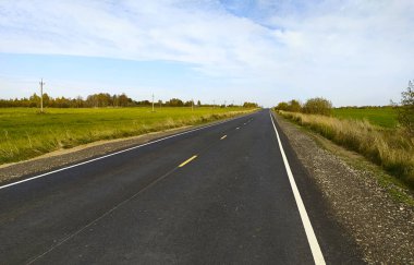 Ufuk çizgisine giden beyaz ve sarı işaretli yol. Arka planda bir orman görebilirsiniz.