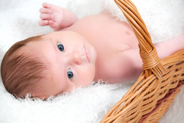 Baby Boy Lying Basket — Stock Photo, Image