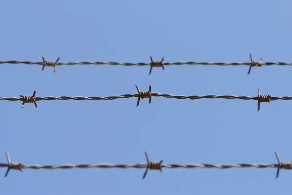 Taggtråd Mot Blå Himmel — Stockfoto