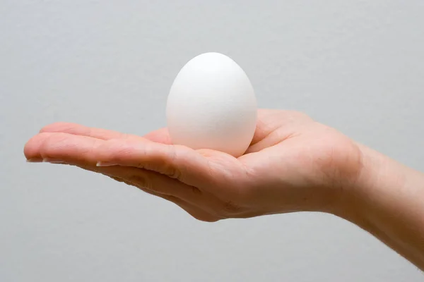 Female Hand Holding White Egg Light Studio Background — Stock Photo, Image