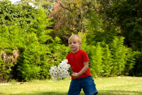 Menino Feliz Segurando Flores Brancas Fundo Grama Verde — Fotografia de Stock