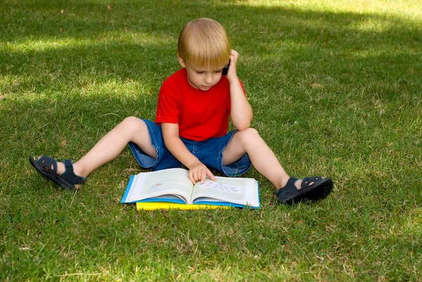 可爱的小男孩坐在绿草与书和谈话在移动电话 — 图库照片