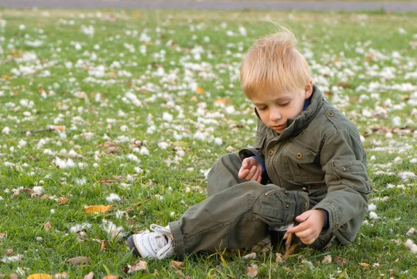 Cute Little Boy Sitting Green Grass Yellow Autumn Leaves — Stock Photo, Image